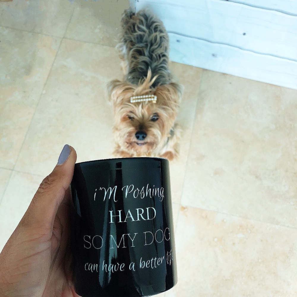 Poshing HARD SO MY DOG can have a better life mug